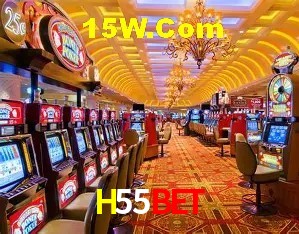 Segurança e performance na plataforma H55Bet